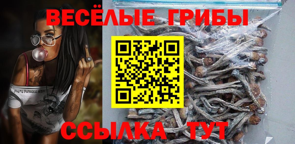 Реутов  Псилоцибиновые грибы Cubensis  Вход с VPN 